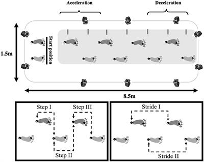 Spatial-temporal parameters during unobstructed walking in people with Parkinson's disease and healthy older people: a public data set